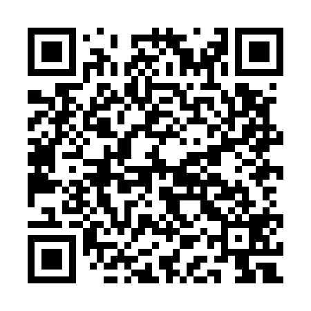 QR code for AAXE19