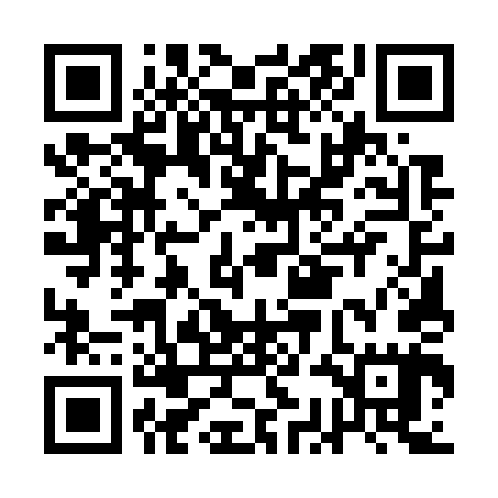 QR code for ACE745