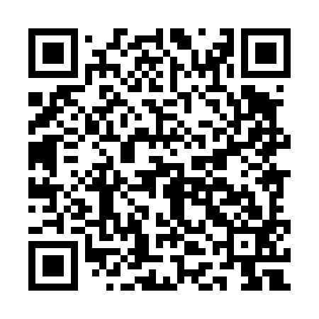 QR code for ADH493