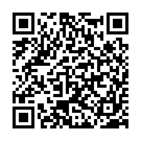 QR code for ADS317