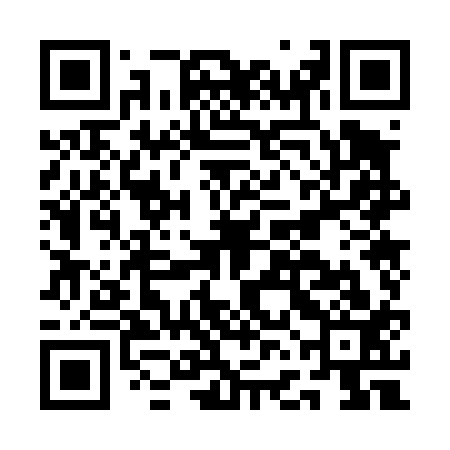 QR code for AFO413