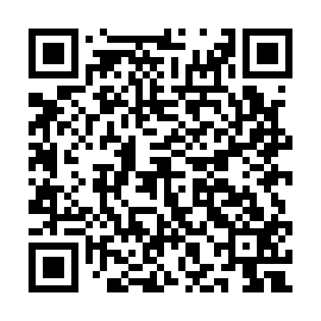 QR code for AHMA13