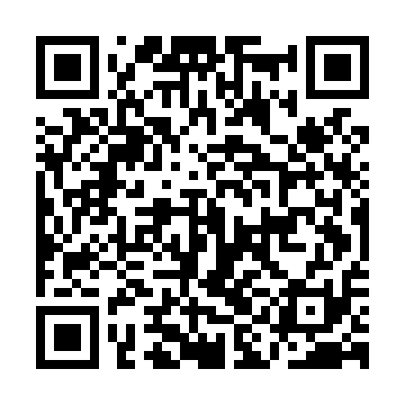 QR code for AIEL11