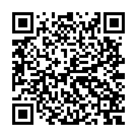 QR code for AIPU06