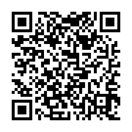 QR code for ALLP13