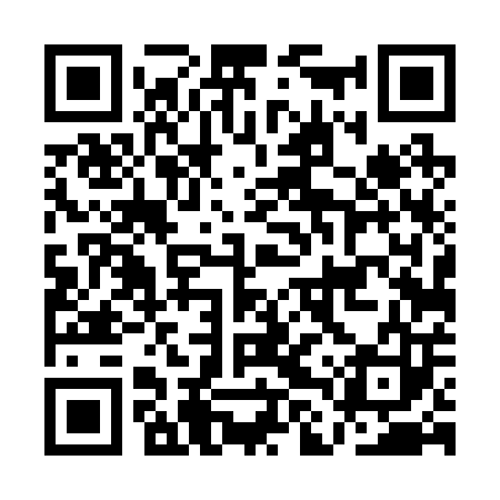 QR code for ALT203