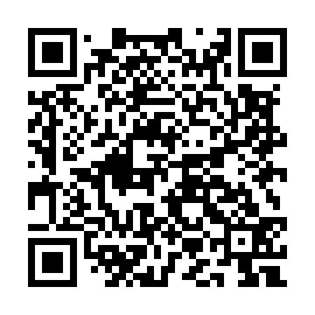 QR code for AMMM33