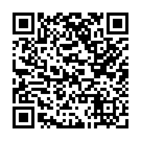 QR code for ANS938