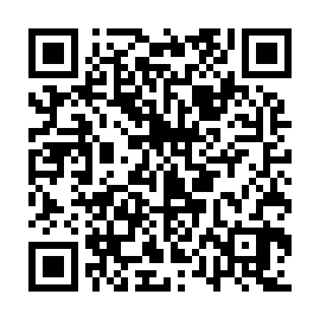 QR code for APEI22