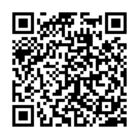 QR code for APIO31