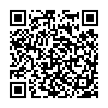 QR code for APJ691