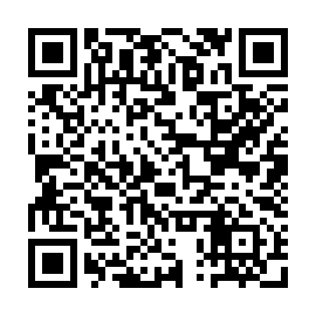 QR code for APS391
