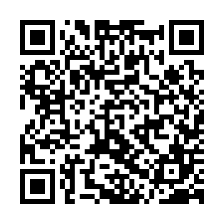 QR code for APV306