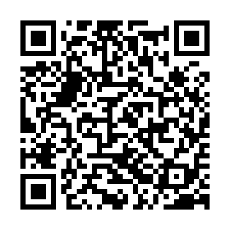 QR code for ARC919