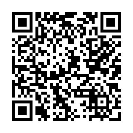 QR code for ARN384