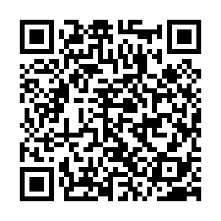 QR code for ASI038
