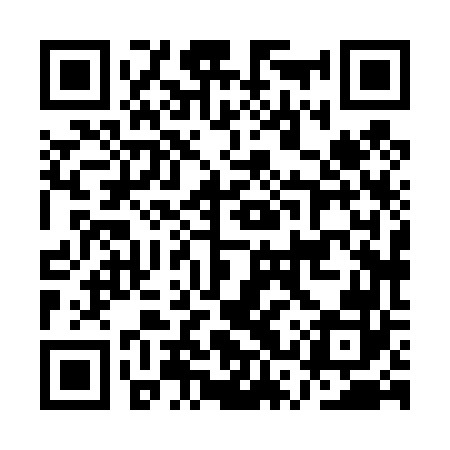 QR code for ASX462