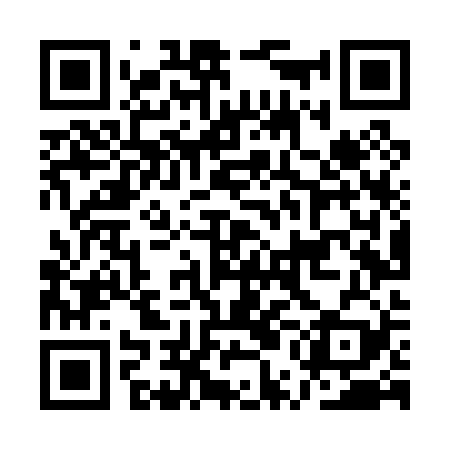 QR code for AULP29