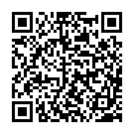QR code for AUP393