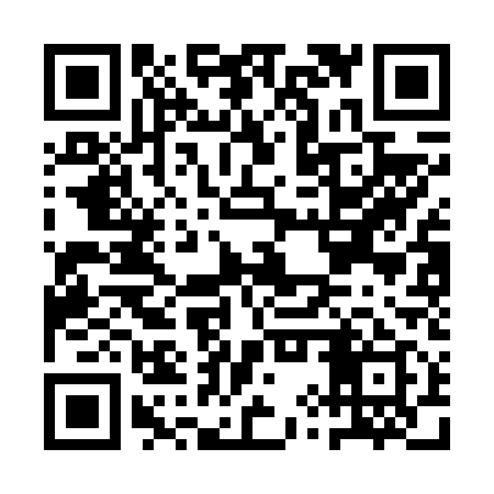 QR code for AYSF19