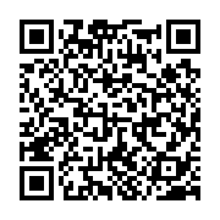 QR code for AYU738