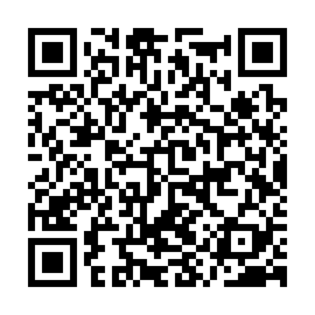 QR code for AYVS29