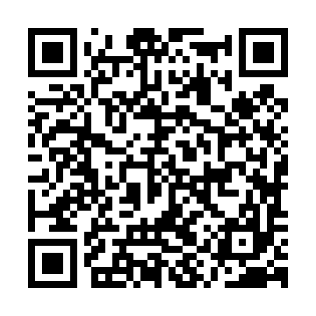 QR code for AYZ497