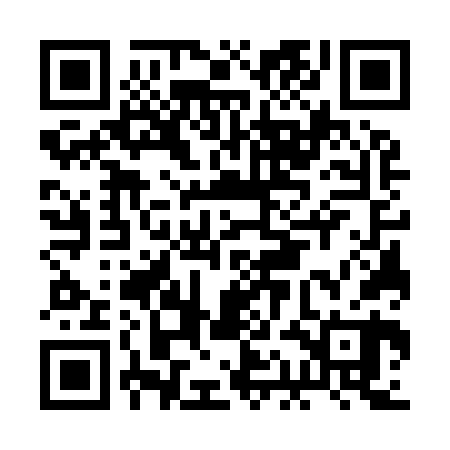 QR code for BAG960