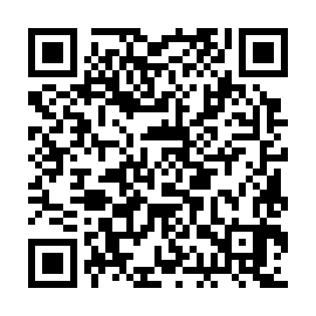 QR code for BAU383