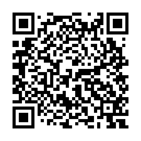 QR code for BHG313