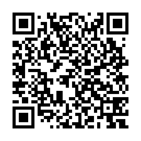 QR code for BIC378