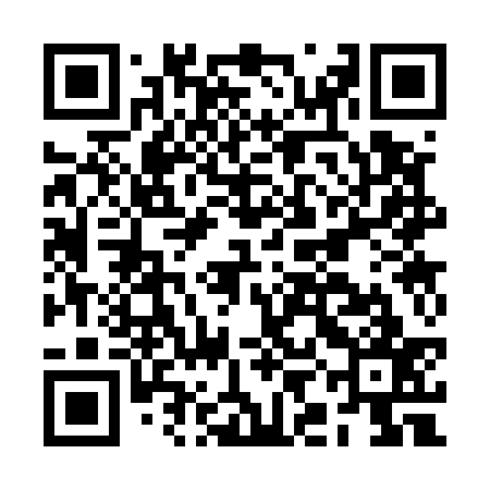 QR code for BIC537
