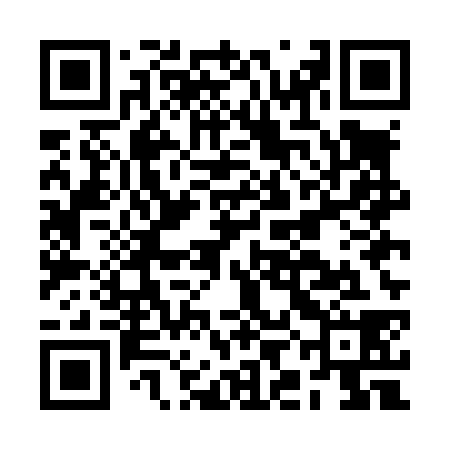 QR code for BIEL38
