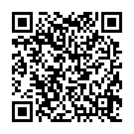 QR code for BIS336