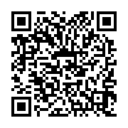 QR code for BIT313