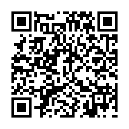 QR code for BIZI93