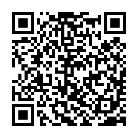 QR code for BLR491