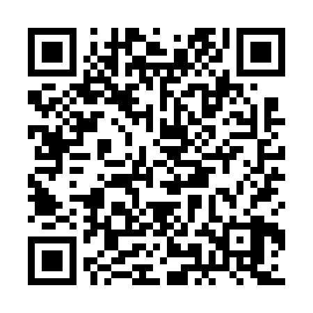 QR code for BMIV28