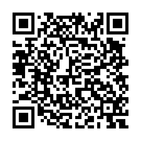 QR code for BOR416