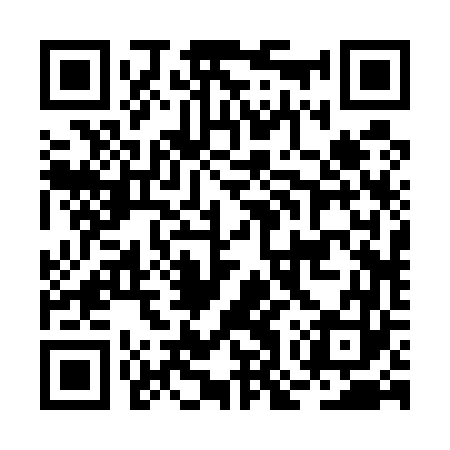QR code for BOR563
