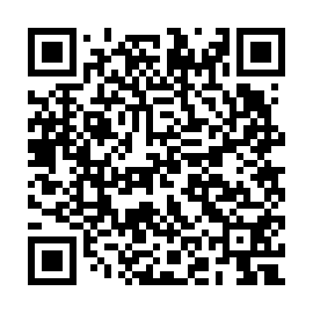 QR code for BOR650