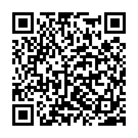 QR code for BRI533