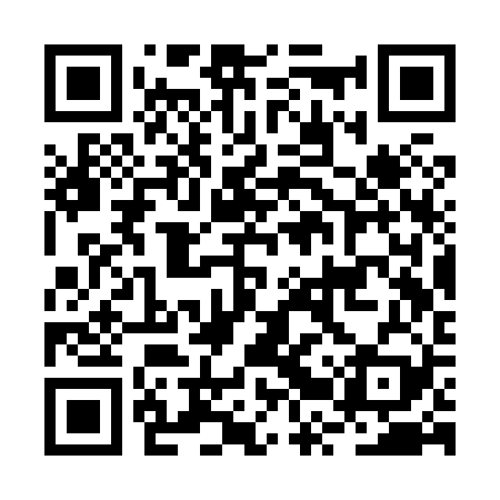 QR code for BRSX29