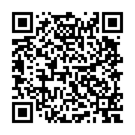 QR code for BTI491