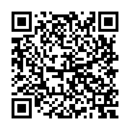 QR code for BVI951