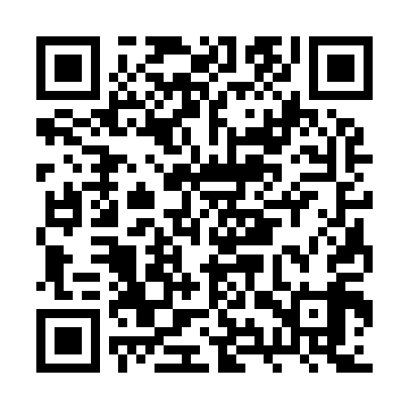 QR code for BYS919