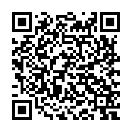 QR code for CAEI63