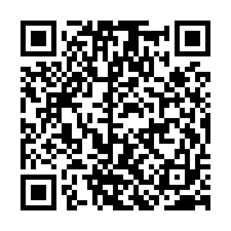 QR code for CCYO13