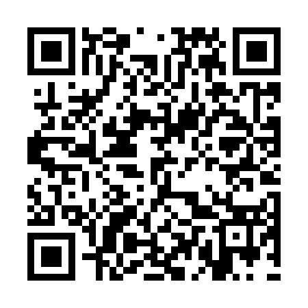 QR code for CDTI53