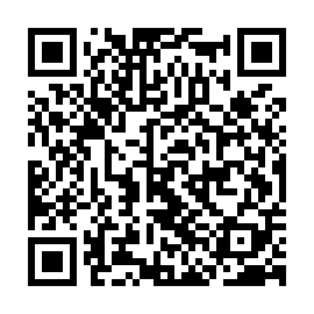 QR code for CFEM09
